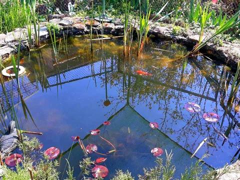 будинок за адресою Зеленая