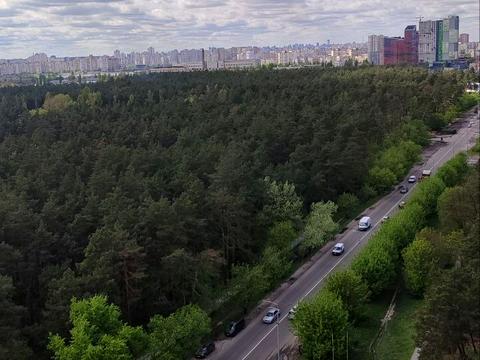 квартира за адресою Світла вул., 3д