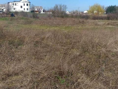 ділянка за адресою смт. Царичанка, Лесная