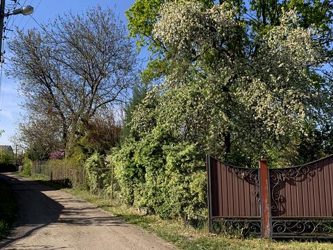 дом по адресу Волкова Сержанта ул., 125
