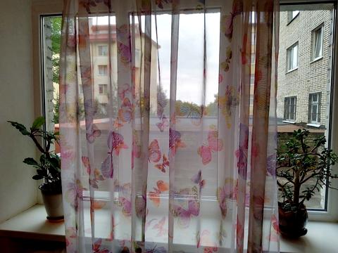 комната по адресу Мишуги ул., 5