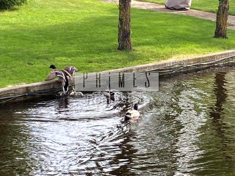 дом по адресу Європейська вул.