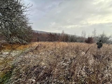участок по адресу 