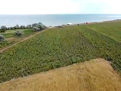 ділянка за адресою с. Миколаївка, 
