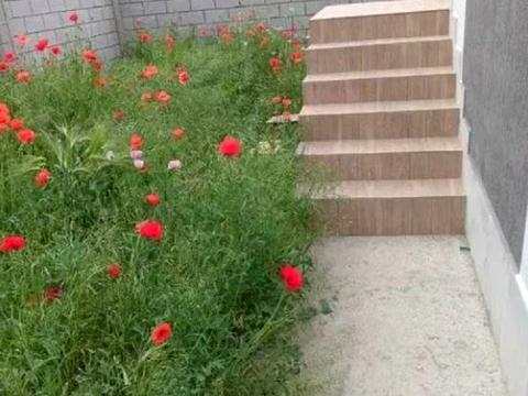 будинок за адресою Пілотна вул.