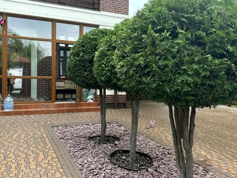 дом по адресу Земляничная ул., 1