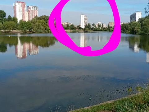 квартира за адресою Амвросія Бучми бульв., 8