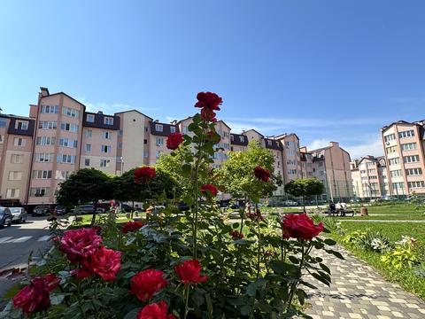 квартира по адресу Боголюбова, 5
