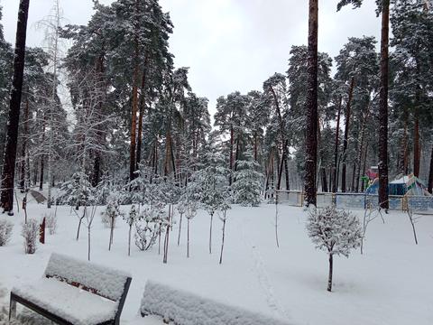 ділянка за адресою Лісна вул.