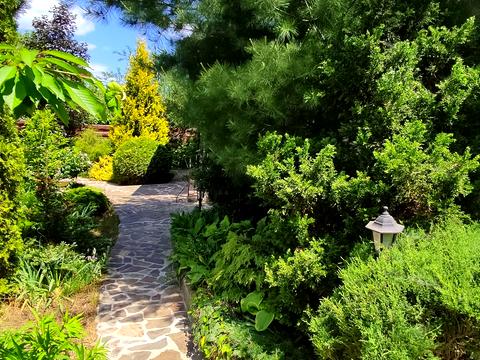 будинок за адресою Олександрівська