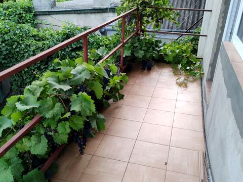 будинок за адресою Академіка Гаркавого вул. (Житомирська)