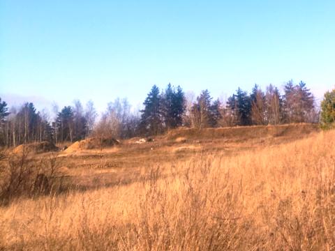 участок по адресу с. Рославичи, 