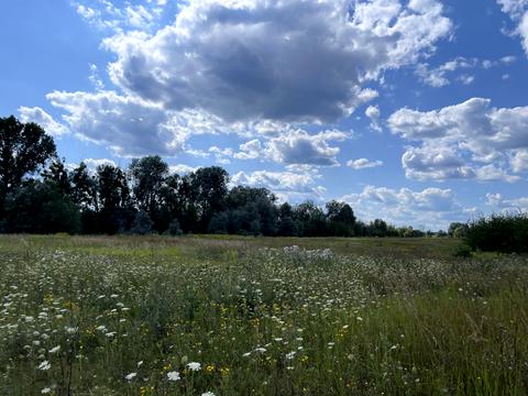 участок по адресу 