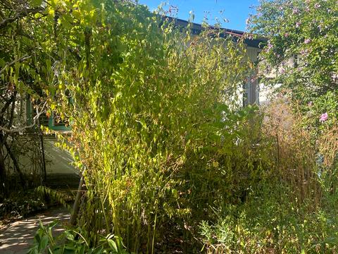 ділянка за адресою Львівська вул.