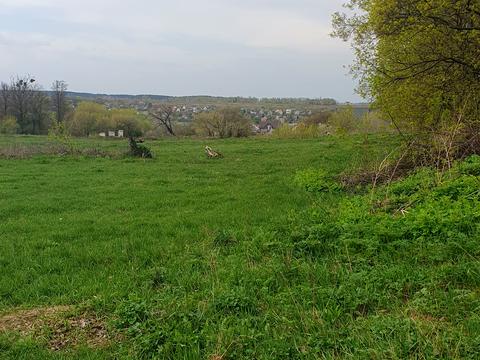 ділянка за адресою Аркаса, 2