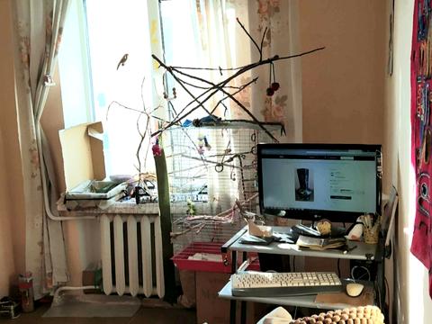 квартира за адресою Мира-Васляева, 17