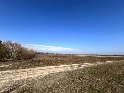 участок по адресу Леонтовича ул.