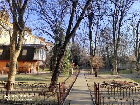 комерційна за адресою Лаврська вул. (Січневого Повстання), 6