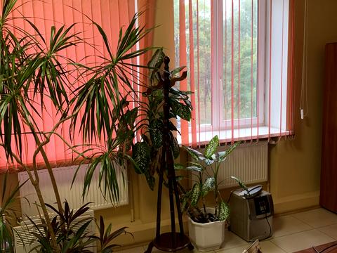 комерційна за адресою Михайлівська пл., 1