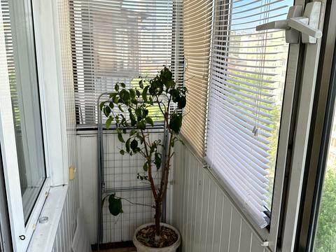 квартира за адресою Борщагівська вул., 4