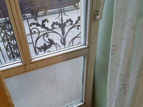 квартира за адресою Пантелеймона Куліша вул., 13