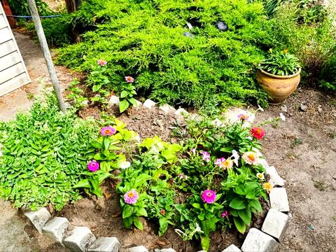 будинок за адресою Підгородне, Межова, 58