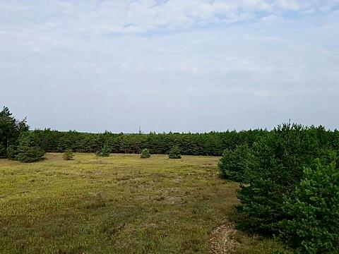 участок по адресу с. Сувид, 