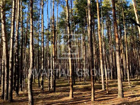 будинок за адресою Лесі Українки, 8