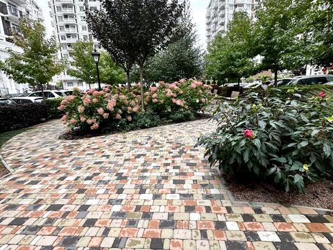 квартира за адресою Михайла Максимовича вул. (Онуфрія Трутенка), 28-Д