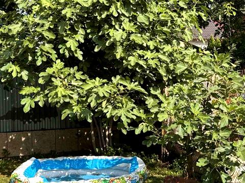 квартира по адресу Ярослава Мудрого ул., 60