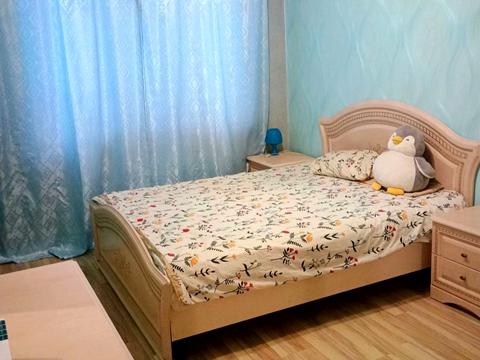 квартира по адресу Софиевский пер., 17/25