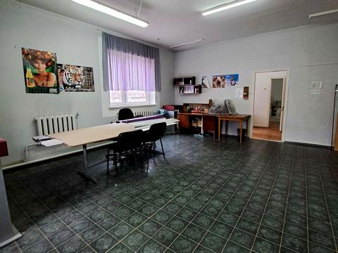 комерційна за адресою вул. Даля, 50