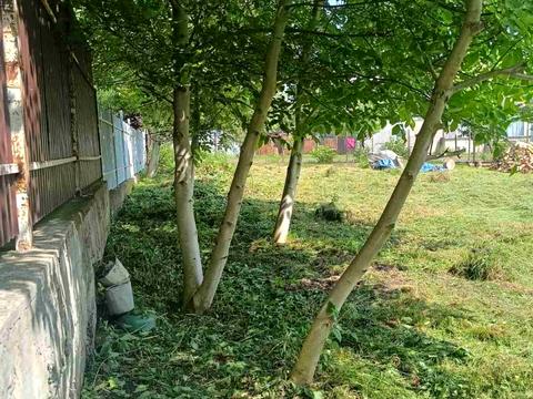 ділянка за адресою Миколи Хвильового вул.