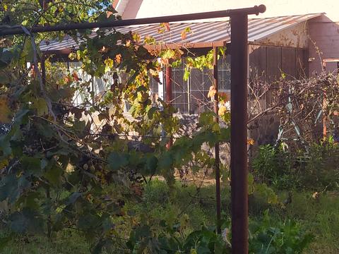 дом по адресу Лісова