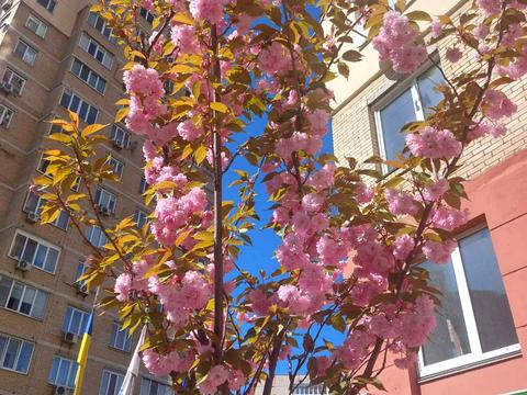 квартира за адресою Микільсько-Слобідська вул., 6-В