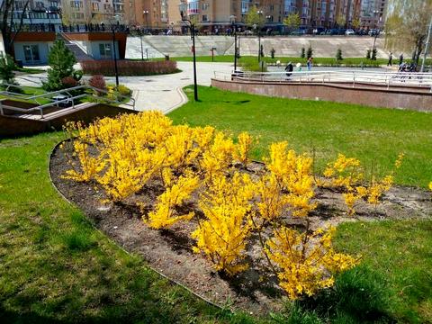 квартира за адресою Ярослава Мудрого вул., 70