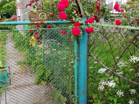 квартира за адресою Степана Бандери вул., 38