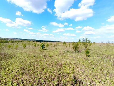ділянка за адресою біля Царського озера