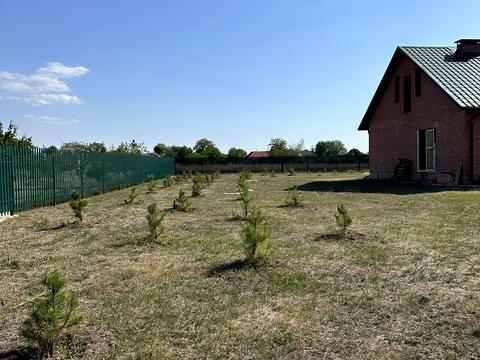 дом по адресу с. Песчанка, Новая, 41
