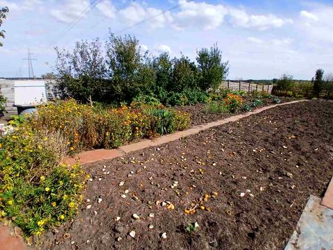 ділянка за адресою 6-та Лінія вул.