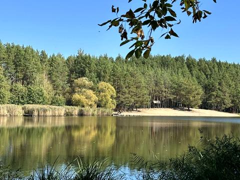 будинок за адресою с. Андріївка, Шевченка, 1