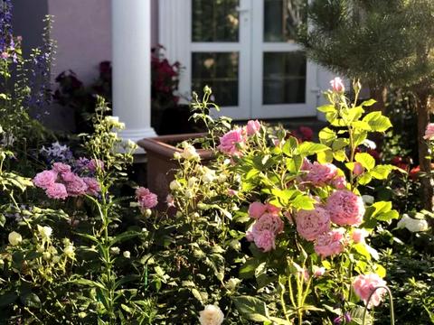 будинок за адресою Чаплинська вул.