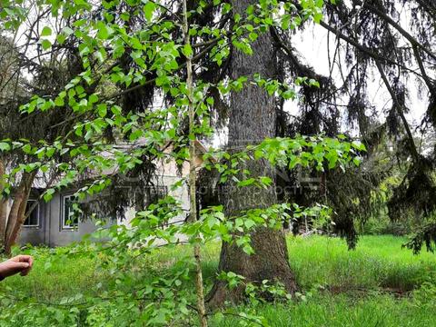 участок по адресу Соснова, 4