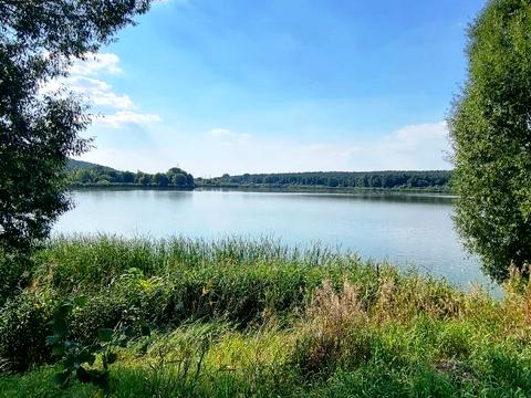 участок по адресу Леси Украинки ул., 24