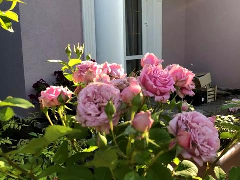 будинок за адресою Чаплинська вул.