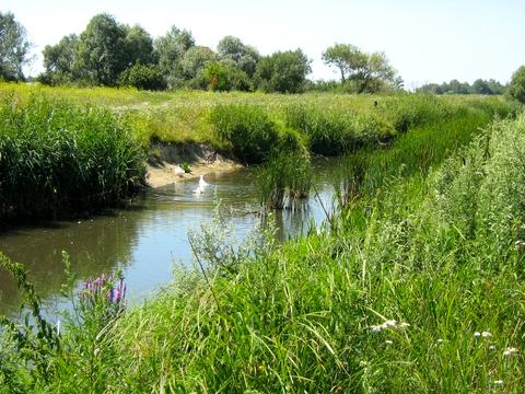 ділянка за адресою братів гуріних, 4