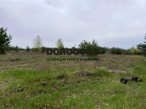 ділянка за адресою Максима Залізняка