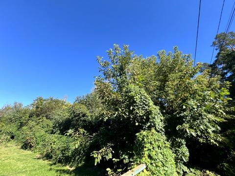 ділянка за адресою 