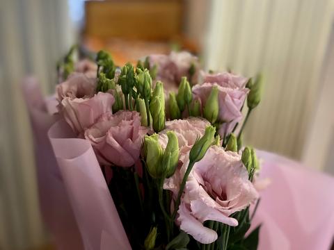 квартира за адресою Полкова вул., 55