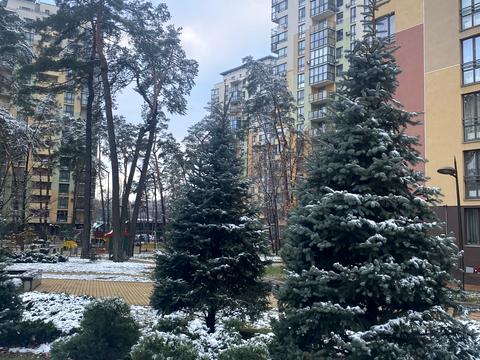 квартира за адресою Анатолія Петрицького вул., 17-А